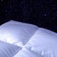 Couette duvet d'oie blanche Arctique - Millésime 2016