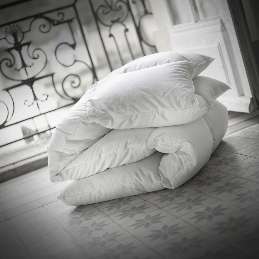 Couette duvet de canard Eider - Millésime 2014